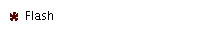Flash
